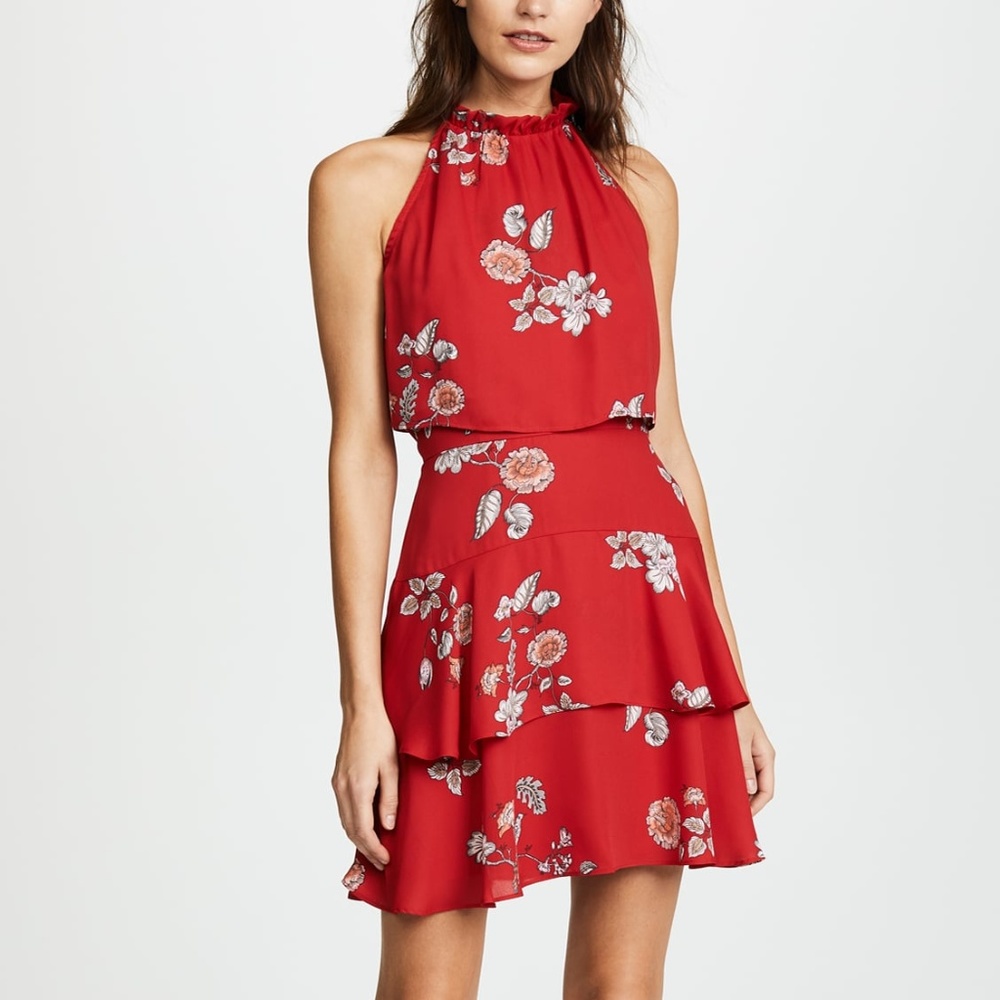 BB Dakota Cadence Floral Dress